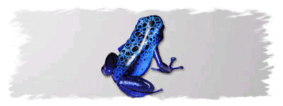 Azureus y las descargas bittorrent